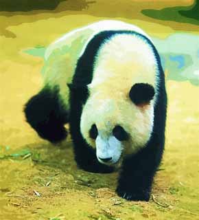 illust, materiell, befreit, Landschaft, Bild, Gemlde, Farbbleistift, Wachsmalstift, Zeichnung,,Riesiger Panda, Panda, , Ich bin schn, Spaziergang