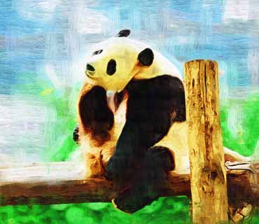 Illust, materieel, vrij, landschap, schilderstuk, schilderstuk, kleuren potlood, crayon, werkje,Reus panda, Panda, , Ik ben knap, Gebaar