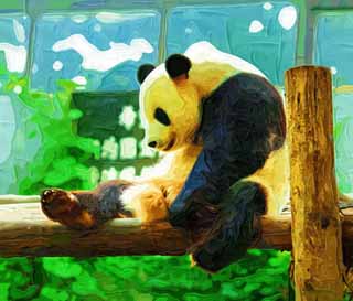 illust, , , , , ,  ,  , ., panda, panda, ,  , 