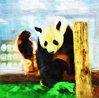 illust, matire, libre, paysage, image, le tableau, crayon de la couleur, colorie, en tirant,Panda gant, panda, , Je suis joli, geste