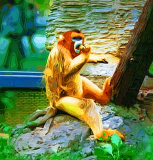 illust, material, livram, paisagem, quadro, pintura, lpis de cor, creiom, puxando,Macaco achatado-cheirado dourado, macaco, Sun Wu-K'ung, , 