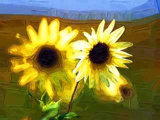 illust, matire, libre, paysage, image, le tableau, crayon de la couleur, colorie, en tirant,Un tournesol franais, tournesol, , , 