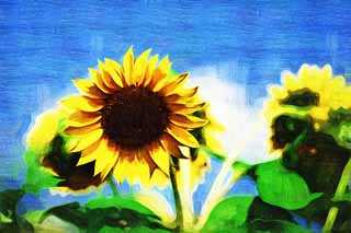 illust, materiell, befreit, Landschaft, Bild, Gemlde, Farbbleistift, Wachsmalstift, Zeichnung,,Eine Sonnenblume, Sonnenblume, , , 