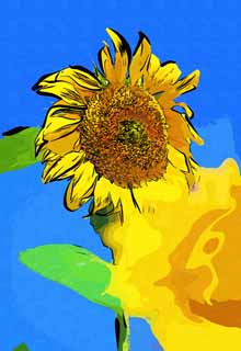 illust, matire, libre, paysage, image, le tableau, crayon de la couleur, colorie, en tirant,Un tournesol, tournesol, , , 