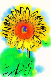 illust, matire, libre, paysage, image, le tableau, crayon de la couleur, colorie, en tirant,Un tournesol, tournesol, , , 