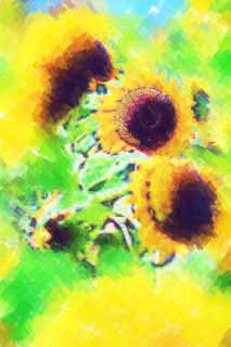 illust, matire, libre, paysage, image, le tableau, crayon de la couleur, colorie, en tirant,Un tournesol, tournesol, , , 