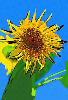 illust, matire, libre, paysage, image, le tableau, crayon de la couleur, colorie, en tirant,Un tournesol, tournesol, , , 