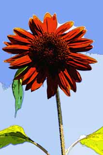 illustration,material,free,landscape,picture,painting,color pencil,crayon,drawing,A sunflower, sunflower, , , 