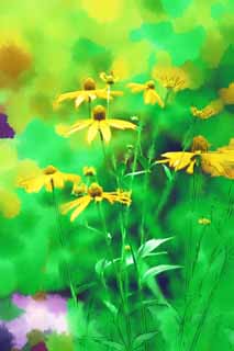 Illust, materieel, vrij, landschap, schilderstuk, schilderstuk, kleuren potlood, crayon, werkje,Een gele bloem, Kroonblad, Natuur, Wild gras, De bloem van het veld
