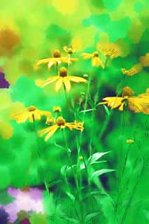 illust, matire, libre, paysage, image, le tableau, crayon de la couleur, colorie, en tirant,Une fleur jaune, ptale, Nature, Herbe sauvage, La fleur du champ