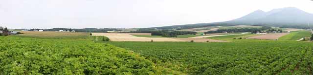 Foto, materiell, befreit, Landschaft, Bild, hat Foto auf Lager,Eine lndliche Landschaft von Furano, Feld, Mt. Tokachi-dake, Das Land, lndliche Landschaft