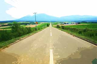 illustration,material,free,landscape,picture,painting,color pencil,crayon,drawing,A straight line road of Furano, field, Mt. Tokachi-dake, The country, rural scenery