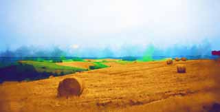 illust, materiell, befreit, Landschaft, Bild, Gemlde, Farbbleistift, Wachsmalstift, Zeichnung,,Eine lndliche Landschaft von Biei, Feld, Grasrolle, Das Land, lndliche Landschaft