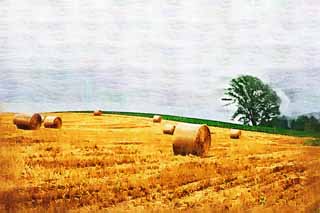 illust, materiell, befreit, Landschaft, Bild, Gemlde, Farbbleistift, Wachsmalstift, Zeichnung,,Eine Grasrolle, Feld, Grasrolle, Das Land, lndliche Landschaft