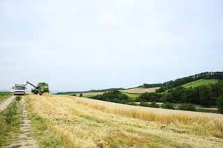 fotografia, materiale, libero il panorama, dipinga, fotografia di scorta,Un scenario rurale di Biei, campo, Una macchina agricola, Il paese, scenario rurale