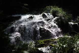 Foto, materieel, vrij, landschap, schilderstuk, bevoorraden foto,Oche, het is een waterval van Ney ja, Nevel, Stroom, Nevel van water, Woud