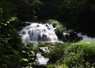 fotografia, materiale, libero il panorama, dipinga, fotografia di scorta,Oh,  una cascata di Ney s, Spruzzi, torrente, Spruzzi di acqua, foresta