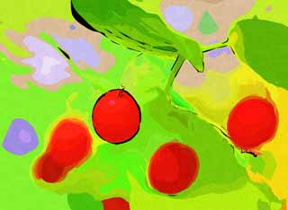 illustration,material,free,landscape,picture,painting,color pencil,crayon,drawing,A red fruit, Fruit, round fruit, Wild grass, forest