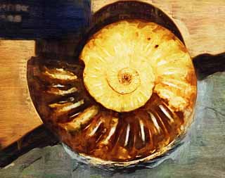 Illust, materieel, vrij, landschap, schilderstuk, schilderstuk, kleuren potlood, crayon, werkje,Een ammonite, Fossiel, Een ammonite, Pompoen stenig, Amon shellfish