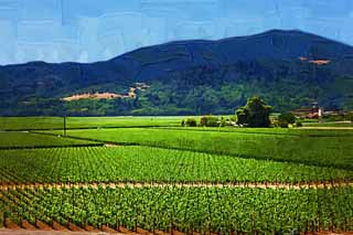 illust, matire, libre, paysage, image, le tableau, crayon de la couleur, colorie, en tirant,O un passer, Vin rouge, champ de vigne, Valle Napa, Vin de Californie