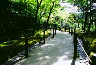 Foto, materiell, befreit, Landschaft, Bild, hat Foto auf Lager,Pfad in zartem Grn, Ginkakuji, , , 