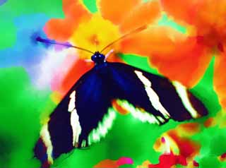 illust, matire, libre, paysage, image, le tableau, crayon de la couleur, colorie, en tirant,Le papillon du pays du sud, plume, antenne, papillon, 