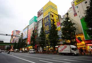 Foto, materieel, vrij, landschap, schilderstuk, bevoorraden foto,Akihabara, Huishoudelijk apparaat, Een ontheffing van de belastingheffing, Boodschappend doend, Akiba