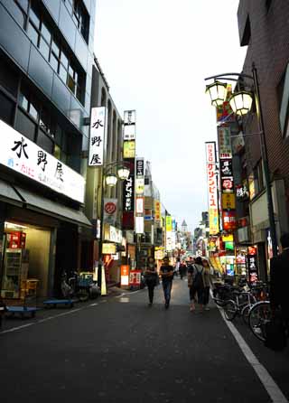 , , , , ,  .,Kabukicho, Shinjuku, , signboard,   , 