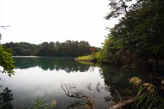 fotografia, materiale, libero il panorama, dipinga, fotografia di scorta,Lago Bishamon, foresta, stagno, Blu azzurro, Mt. Bandai-san