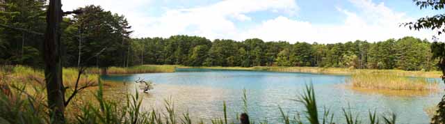 fotografia, materiale, libero il panorama, dipinga, fotografia di scorta,Moglie di lago di zen-prete principale, foresta, stagno, Blu azzurro, Mt. Bandai-san