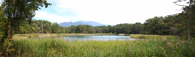 Foto, materiell, befreit, Landschaft, Bild, hat Foto auf Lager,Seenfrau des Hauptzen-Priesters, Wald, Teich, Azurblau blau, Mt. Bandai-san