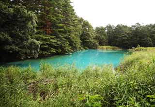 fotografia, materiale, libero il panorama, dipinga, fotografia di scorta,Aonuma, foresta, stagno, Blu azzurro, Mt. Bandai-san