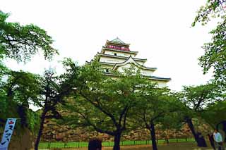 illust,tela,gratis,paisaje,fotografa,idea,pintura,Lpiz de color,dibujo,La torre de castillo de Matsushiro joven, Foso, Ishigaki, Castillo de Kurokawa, Ujisato Gamo