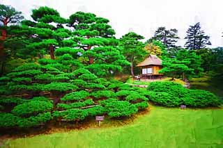 illust, materiale, libero panorama, ritratto dipinto, matita di colore disegna a pastello, disegnando,Oyaku-en Garden in alto il giapponese pino bianco, pianta orto, Facendo del giardinaggio, giardino, pino