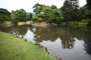 foto,tela,gratis,paisaje,fotografa,idea,La laguna del parque pblico de Oyaku - en que siente la calidad, Planta de jardinera, Jardinera, Jardn japons, Pino