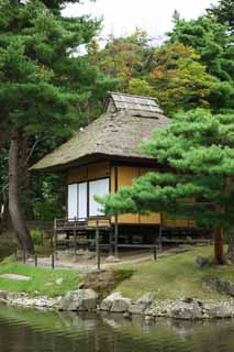 Foto, materiell, befreit, Landschaft, Bild, hat Foto auf Lager,Oyaku-en Garden trstet Kotobuki-Laube, Gartenpflanze, shoji, Japanisch grtnert, Dachstroh