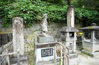 photo, la matire, libre, amnage, dcrivez, photo de la rserve,La place de corps du tigre blancs propre lame, Aizu, corps du tigre blancs, Seppuku, Hari-kari