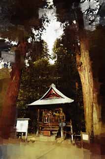 illust, material, livram, paisagem, quadro, pintura, lpis de cor, creiom, puxando,Colina de Iimori-yama santurio de Itsukushima-jinja, Mistura de Budismo e Xintosmo, Mr excelente. cana, Aizu, Masakata Matsudaira