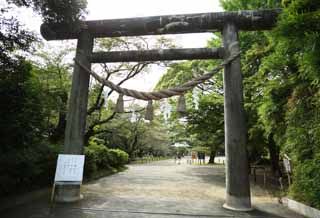 fotografia, material, livra, ajardine, imagine, proveja fotografia,Um torii do Tokiwa Santurio leste, Komon Mito, Mitsukuni, Nariaki Tokugawa, Santurio de Xintosmo
