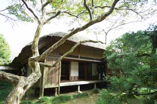 fotografia, materiale, libero il panorama, dipinga, fotografia di scorta,Kairaku-en Garden la pergola di Yoshifumi, Edificio giapponese, Paglia, shoji, buona stecca