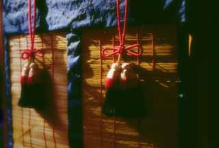 fotografia, materiale, libero il panorama, dipinga, fotografia di scorta,Nascondiglio di bamb leggendario, Fushimi-inari Taisha, nascondiglio di bamb, , 