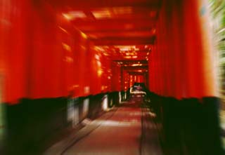 ,,, ,,, ., Taisha Fushimi-inari.,  torii., , 