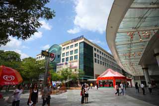 Foto, materiell, befreit, Landschaft, Bild, hat Foto auf Lager,Singapur, Einkufe, U-Bahn, Baum an der Strae, Die tropische Zone