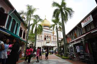 photo,material,free,landscape,picture,stock photo,Creative Commons,A sultan mosque, Islam, mosque, Faith, dome