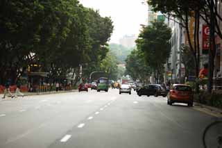 photo,material,free,landscape,picture,stock photo,Creative Commons,According to Singapore, car, high-rise building, roadside tree, The tropical zone