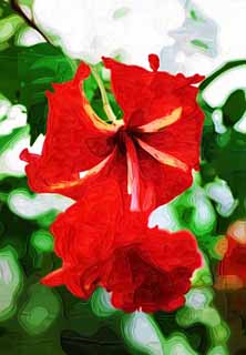 illust, materiale, libero panorama, ritratto dipinto, matita di colore disegna a pastello, disegnando,Tropicale rosso, Un'orchidea, , petalo, Io sono sfarzoso