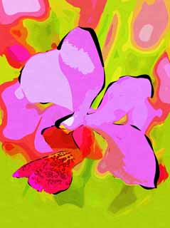 illust, materiell, befreit, Landschaft, Bild, Gemlde, Farbbleistift, Wachsmalstift, Zeichnung,,Eine rosa Orchidee, Eine Orchidee, , Bltenblatt, Ich bin prchtig