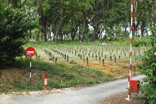 Foto, materiell, befreit, Landschaft, Bild, hat Foto auf Lager,Ein Friedhof vom Islam, ernst, Friedhof, Religion, tote Person