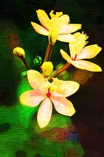 illust, materiale, libero panorama, ritratto dipinto, matita di colore disegna a pastello, disegnando,Un'orchidea gialla, Un'orchidea, , , Io sono lussuoso