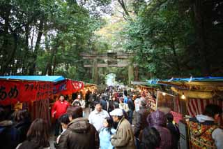 Foto, materieel, vrij, landschap, schilderstuk, bevoorraden foto,Ishigami belangrijk heiligdom benadering van een heiligdom, De Japanese Chronicle van Japan, Beschrijving van volk geschiedenis, Torii, Keet